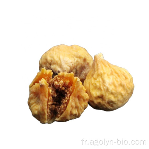 Premium en vroid Qualité Sweet et Dried Fig
